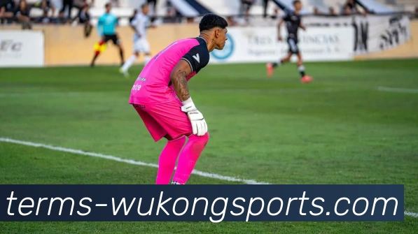 悟空体育APP 体育赛事宣传图